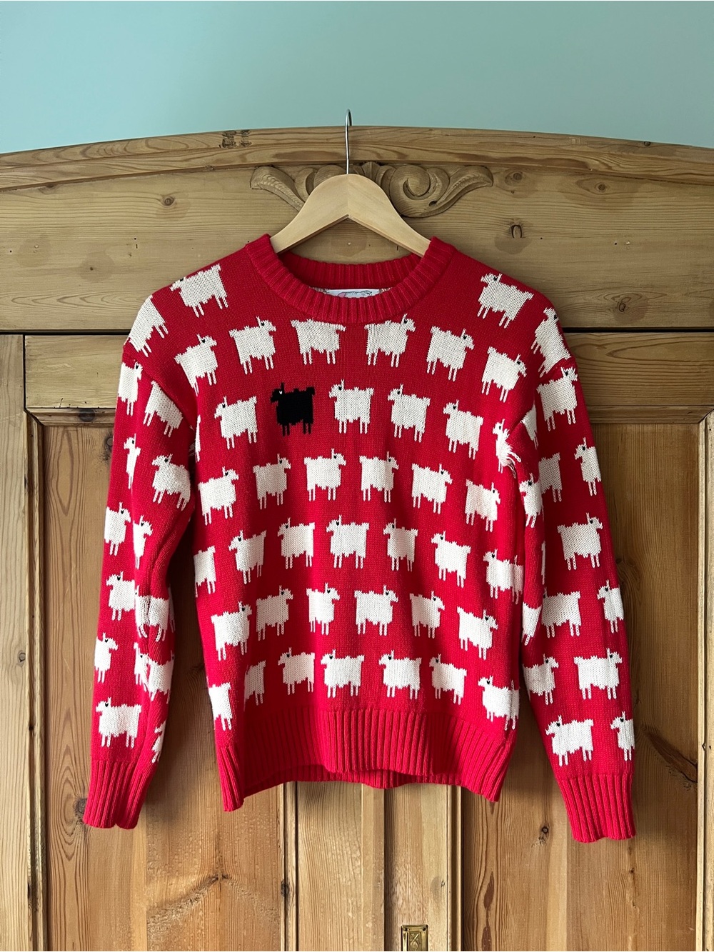 Warm & Wonderful Black Sheep Sweater - Picture 5 of 12